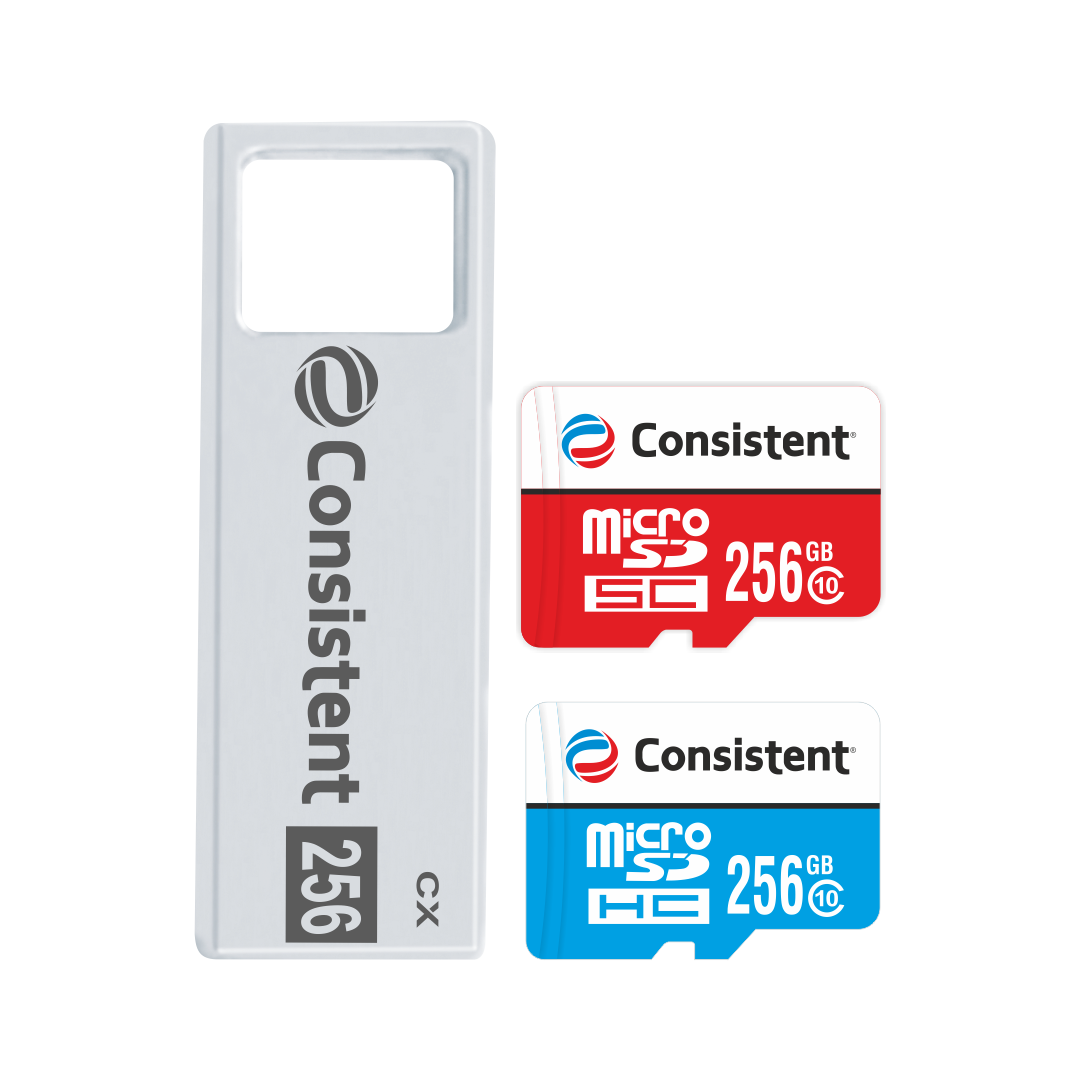 Flash Memory