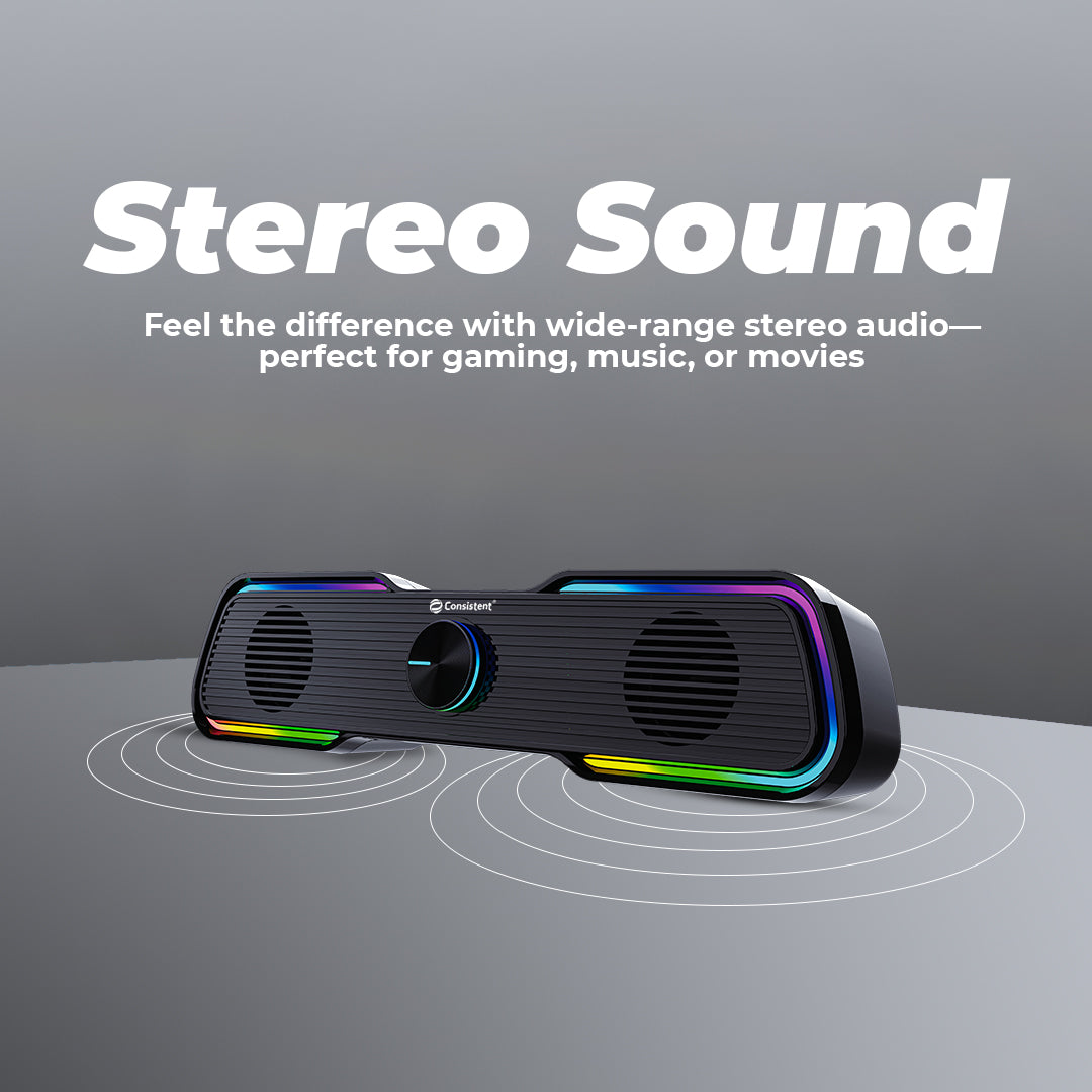 Consistent Desi Vibe USB 2.0 Speaker | Computer Speaker, USB Powered, AUX Volume Control